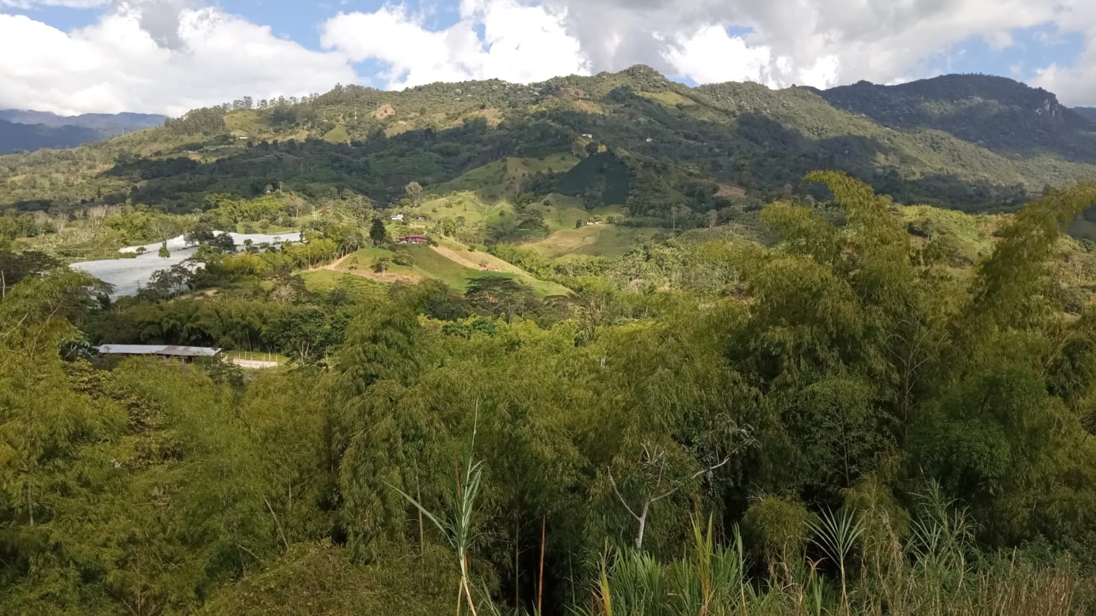 Vista a la cordillera desde Altos de Salem Campestre